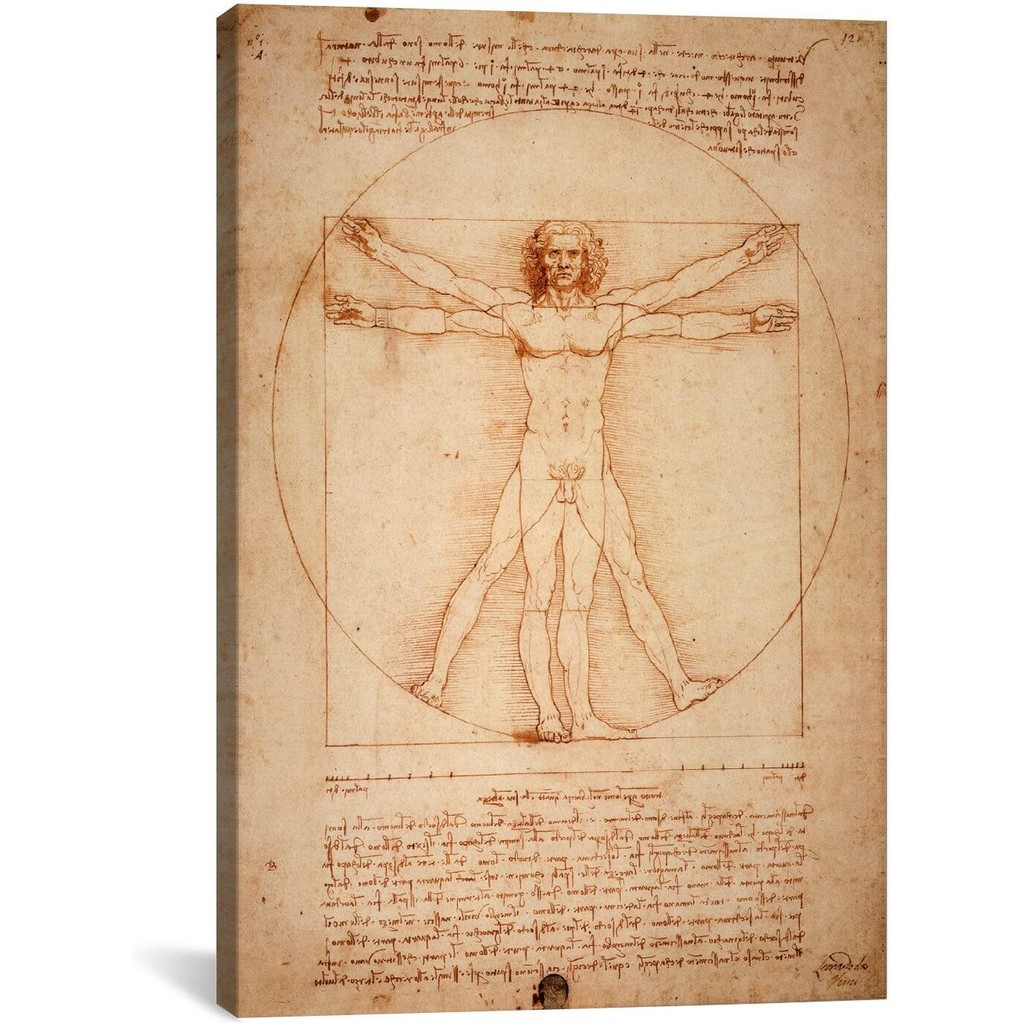 Vitruvian Man โดย Leonardo Da Vinci Canvas Art Print โดย -Inch