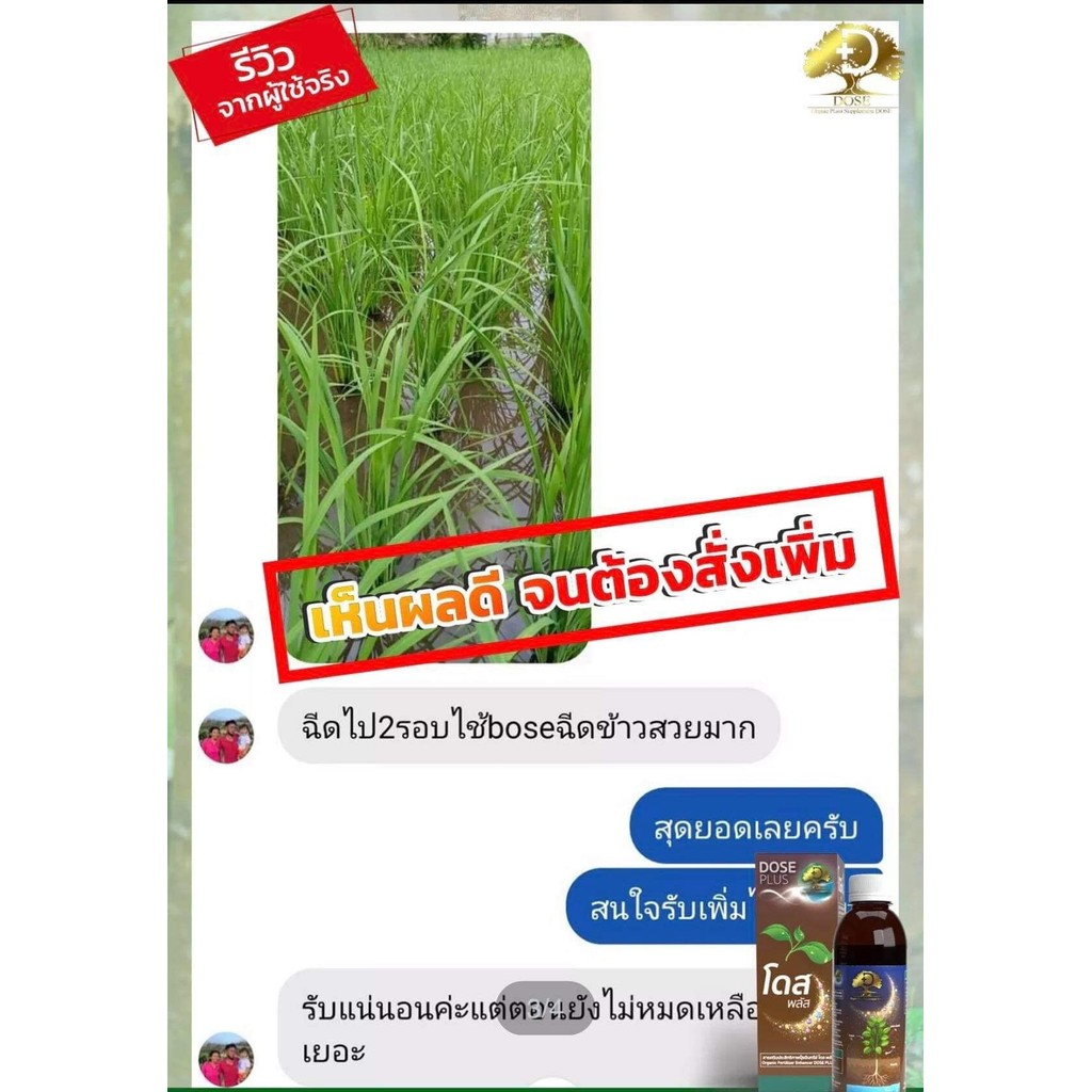 Dose Plus(โดสน้ำตาล)โปร3 ขวด ฉีดพ่นบำรุงดิน ที่ปลูกผักผลไม้ทุกชนิด ปรับสมดุลPH ในดิน เพิ่มสารอาหาร พืชทุกชนิด - รูปที่ 3