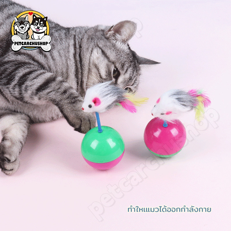 ลูกบอลหนูล้มลุก ลูกบอลล้มลุก บอลกรงหนู หนูล้มลุก บอลของเล่นแมว ลูกบอลขนนกล้มลุก ตุ๊กตาล้มลุก ลูกบอลขนนกล้มลุก/ของเล่นแมว - รูปที่ 2