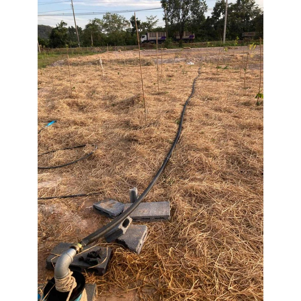 สายส่งน้ำ ตรา สามเอส ขนาด 1 นิ้ว มีให้เลือก 30-200 เมตร รับแรงดันได้ 1 บาร์ สายส่งน้ำเกษตร  สายส่งน้ำแปลง เหนียว คุ้มค่า - รูปที่ 5