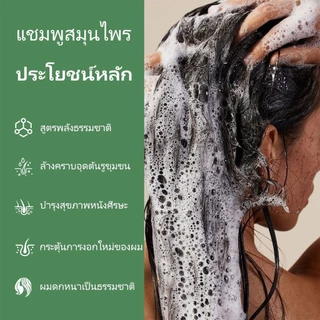 7Herbs🍃แชมพูสมุนไพร ลดผมขาดหลุดร่วง เร่งผมยาว กระตุ้นเส้นผมงอกใหม่ สกัดจากสมุนไพรสด7ชนิด ถนอมเส้นผม 225 มล