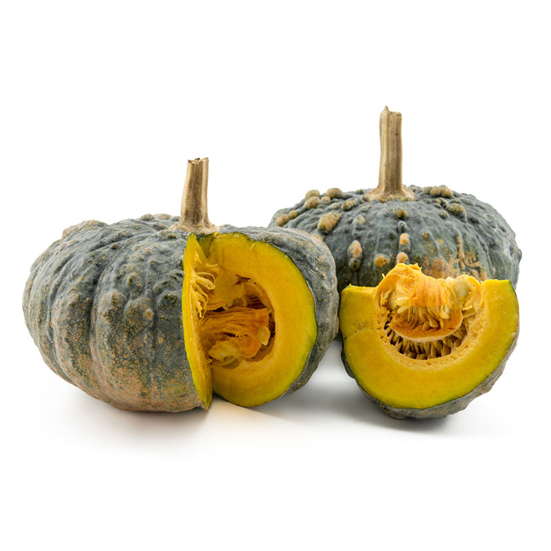 ฟักทอง คางคก เมล็ดพันธุ์ 20-50 เมล็ด มีคู่มือปลูก