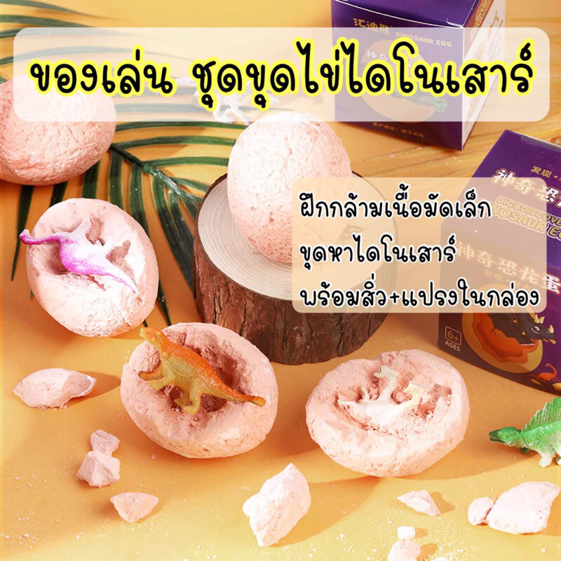 พร้อมส่ง ใน  ของเล่นขุด ชุดขุดฟอสซิล ไดโนเสาร์ หาสมบัติ ของเล่นนักโบราณคดี เสริมทักษะ เพื่อการศึกษา ของเล่นเด็ก