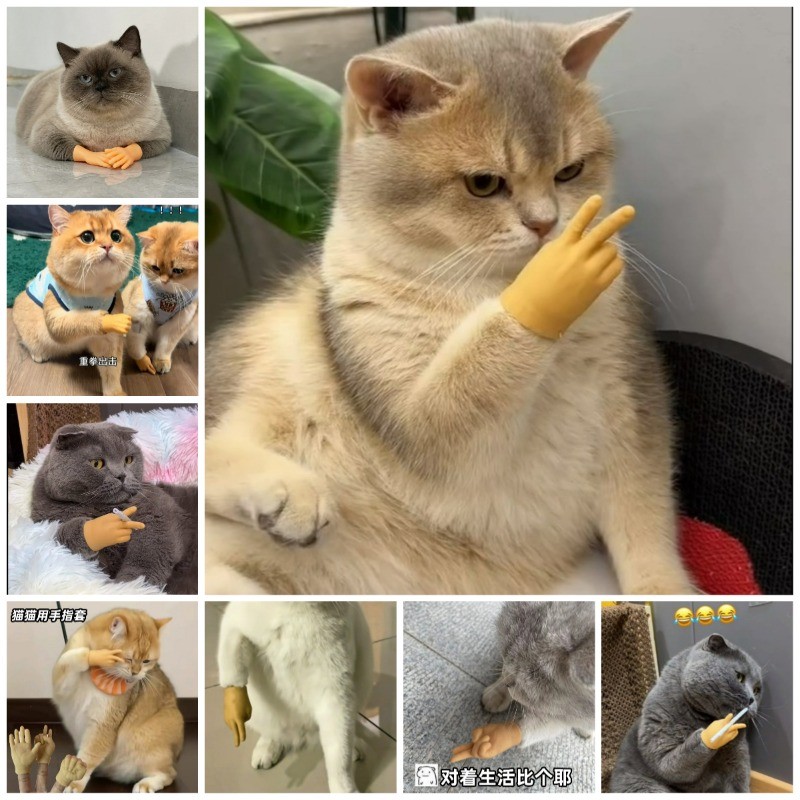 แมวนิ้วลูกแมว โลก ถุงมือซิลิโคนกรรไกรมือกรงเล็บยืดหยุ่นสูงมือขนาดเล็กตลกมนุษย์มือ