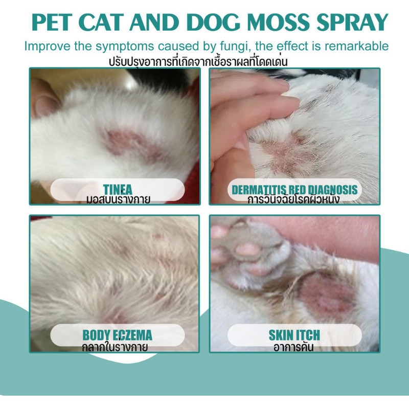 สเปรย์หนังสุนัขและแมว สเปรย์ฉีดผิวสัตว์เลี้ยง เข้าถึงได้ทั้งแมวและสุนัข กําจัดไร ไปที่ผิวหนังคัน 30 มล. - รูปที่ 4