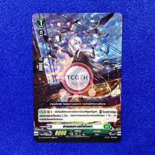 สายลมทะเลที่พัดพา เนชั่นสโตยเคีย