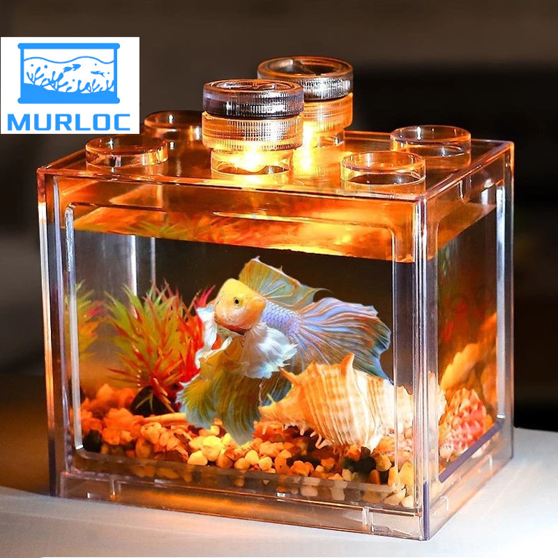 ตู้ปลากัด พร้อมไฟ LED หลายขนาด กะทัดรัด ดูแลง่าย thumbnail 4