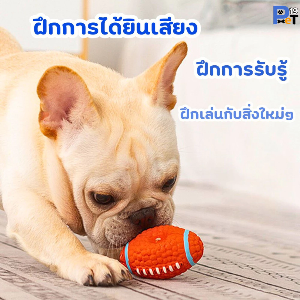 Pet19 ลูกบอลของเล่นสุนัขมีเสียงทนทาน thumbnail 5