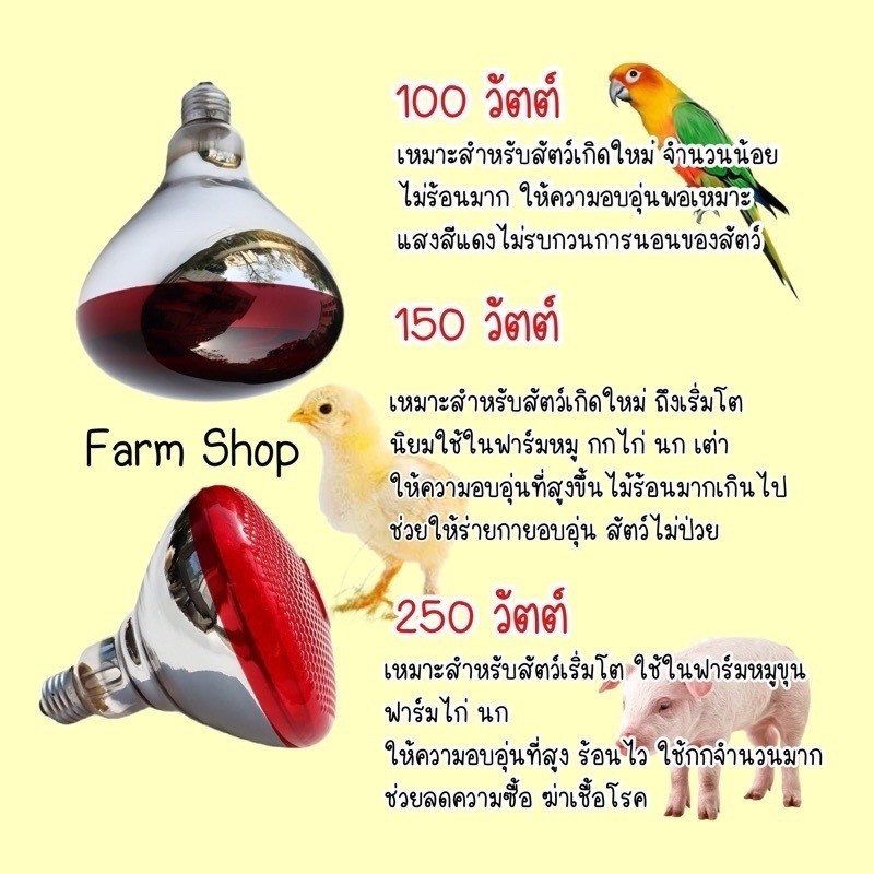 หลอดไฟกกหมู หลอดดไฟความร้อนHD LIGHTS หลอดอินฟาเรดแท้  หลอดไฟกกลูกไก่ ไฟกกหม แบบหนาพิเศษ ไฟกกสัตว์ - รูปที่ 3