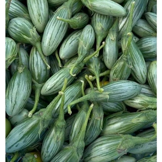 มะเขือลักบี้ตอปิโดเมล็ดพันธุ์ 40-100 เมล็ด สีเขียวลายสวย เนื้อแน่น กรอบ ปลูกง่าย ทนร้อน โตไว ให้ผลดก (ซื้อ 10 แถม1)