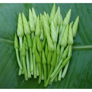 ดอกชมจันทร์ เมล็ดพันธุ์ 3-7 เมล็ด มีคู่มือปลูก