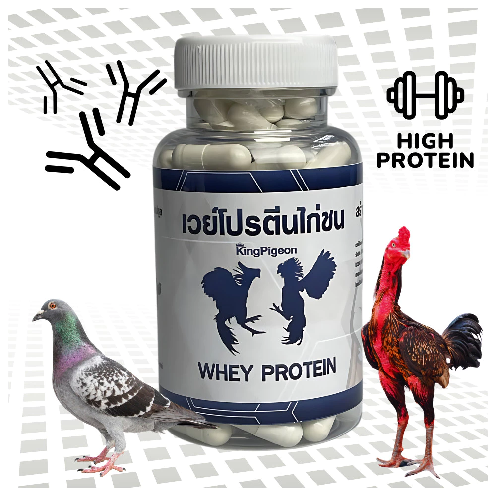 กระปุกใส่ เวย์โปรตีน คิงพีเจ้นท์ นก ไก่ thumbnail 3