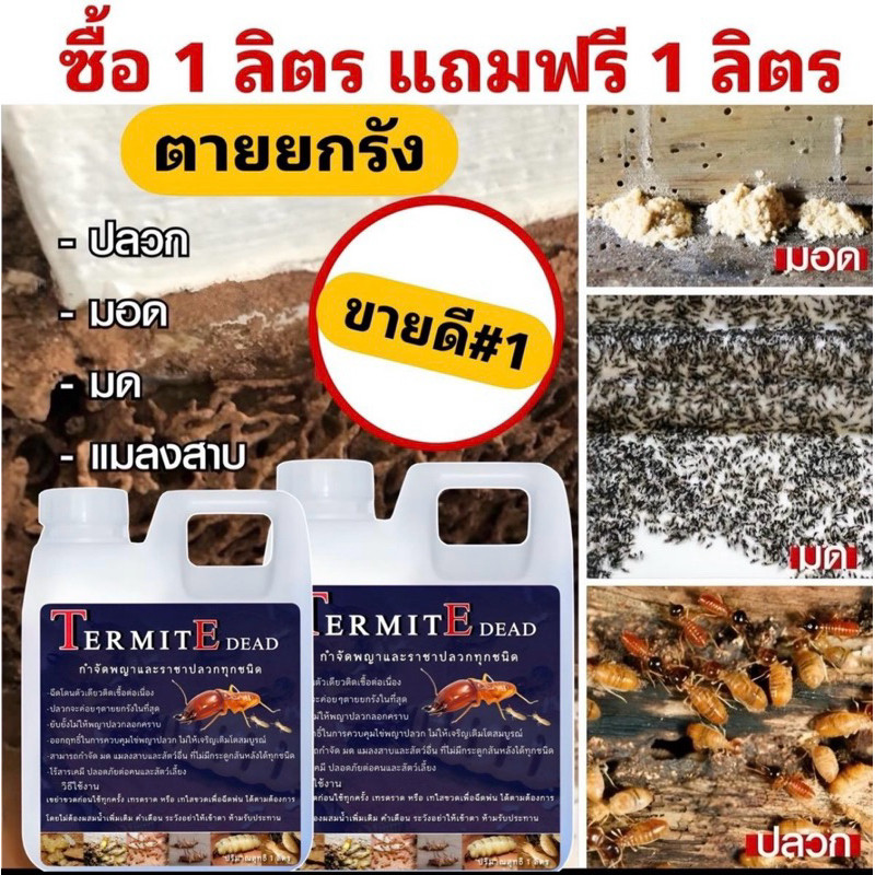 กำจัดปลวก นางพญาปลวก 1ลิตรฟรี1ลิตร หยุดปัญหาแมลงรัง