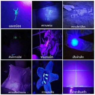 ⚡TBA ไฟฉาย UV ซูมได้ 395 / ไฟฉายอัลตราไวโอเลต LED UV 3 โหมด แบบชาร์จไฟได้ USB กันน้ํา สําหรับสัตว์เลี้ยง แมงป่อง ตรวจจับ