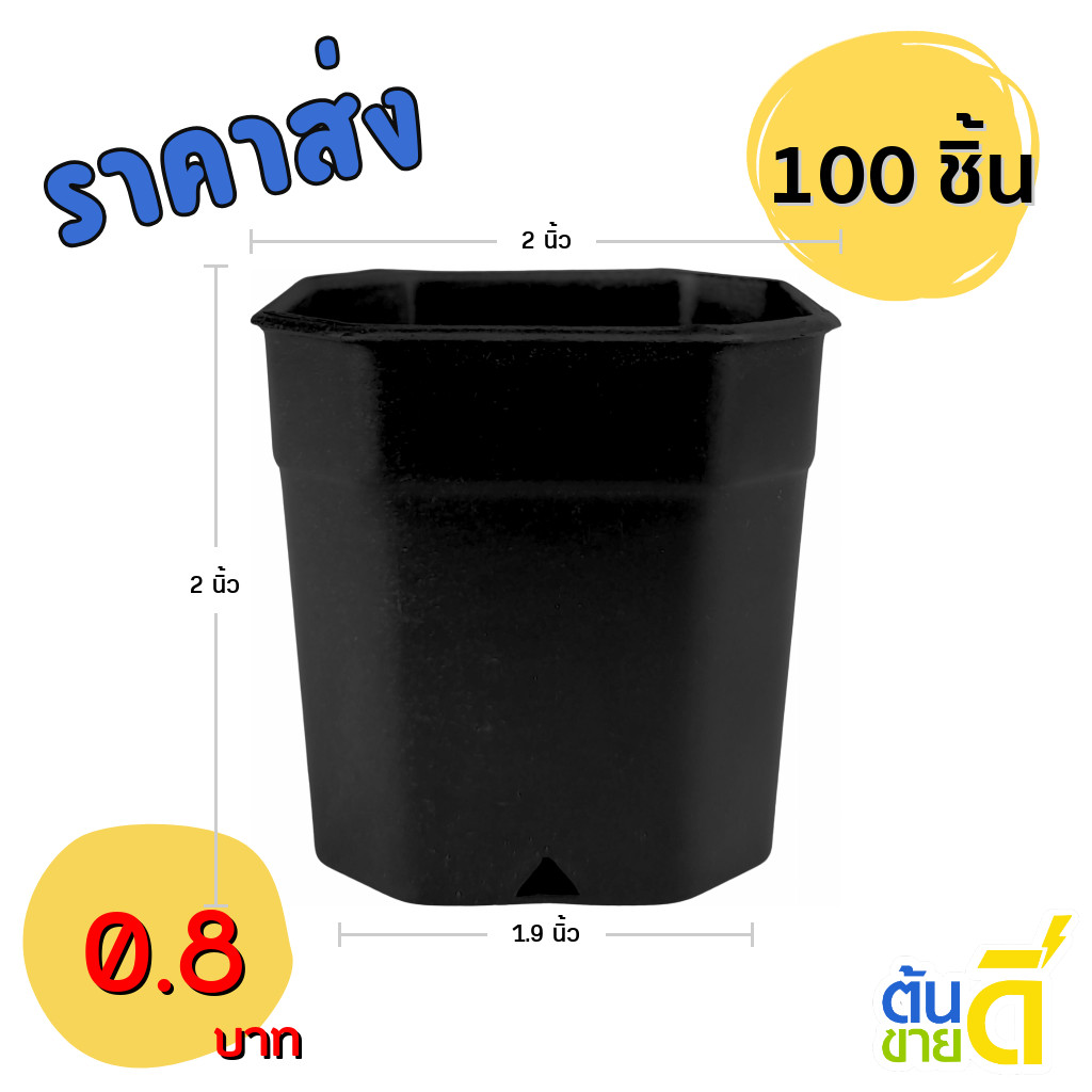 กระถางต้นไม้ กระถาง 8 เหลี่ยม กระถางแคคตัส เบอร์ 2 นิ้ว สีดำ 100 ใบ ชิ้น ยกมัด