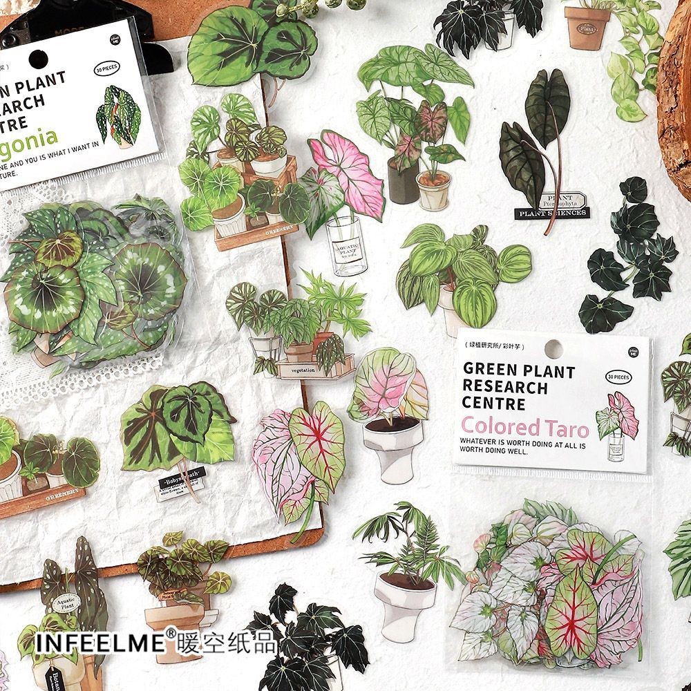 Infeel.me Green Plant Research Institute Series PET Sticker Pack Small Fresh Retro Plant Handbook Goo Card Decorative Sticker