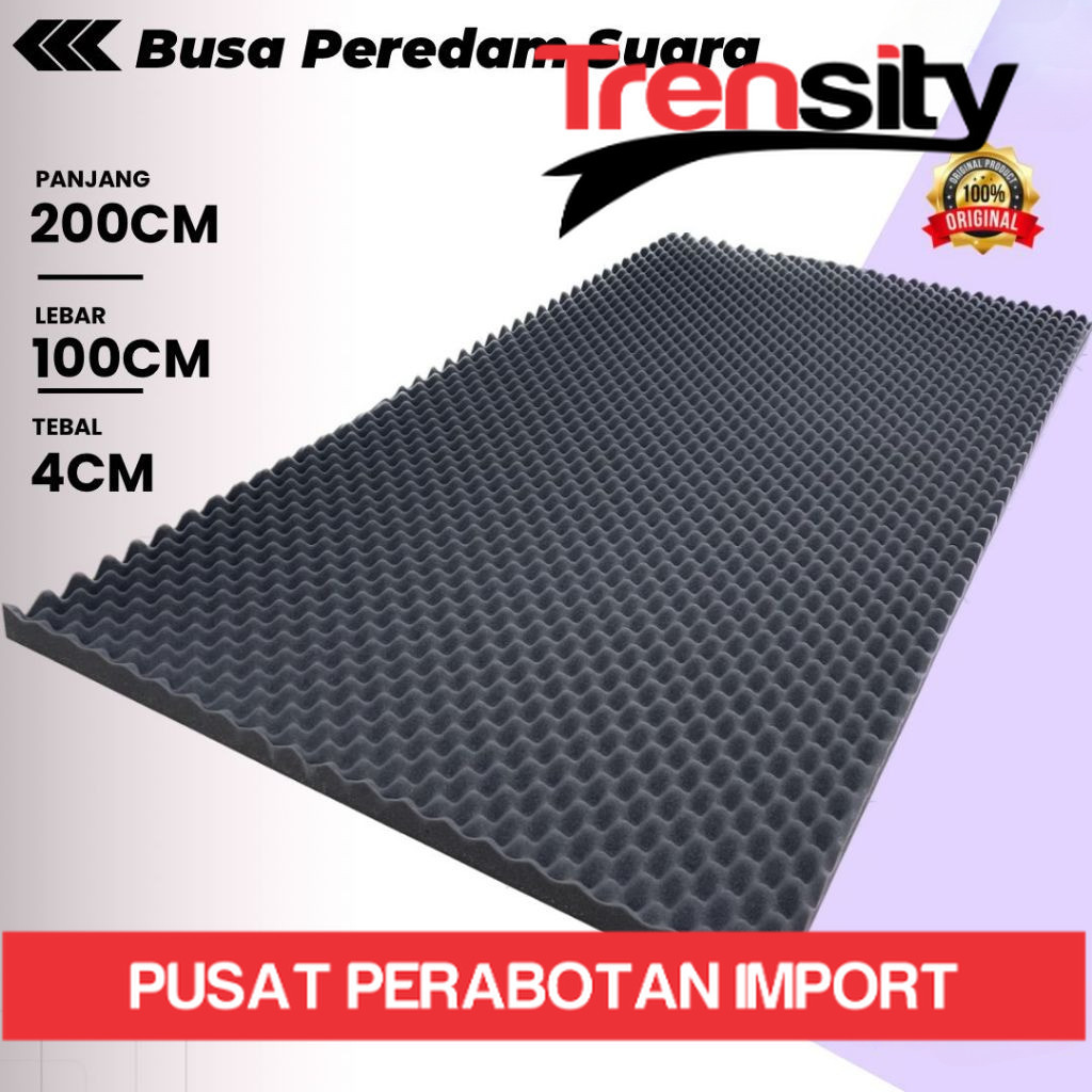 FOAM Soundproofing Room 200X100X4CM Wall Room Studio Music Podcast ACOUSTIC FOAM Egg Model *TRENSITY