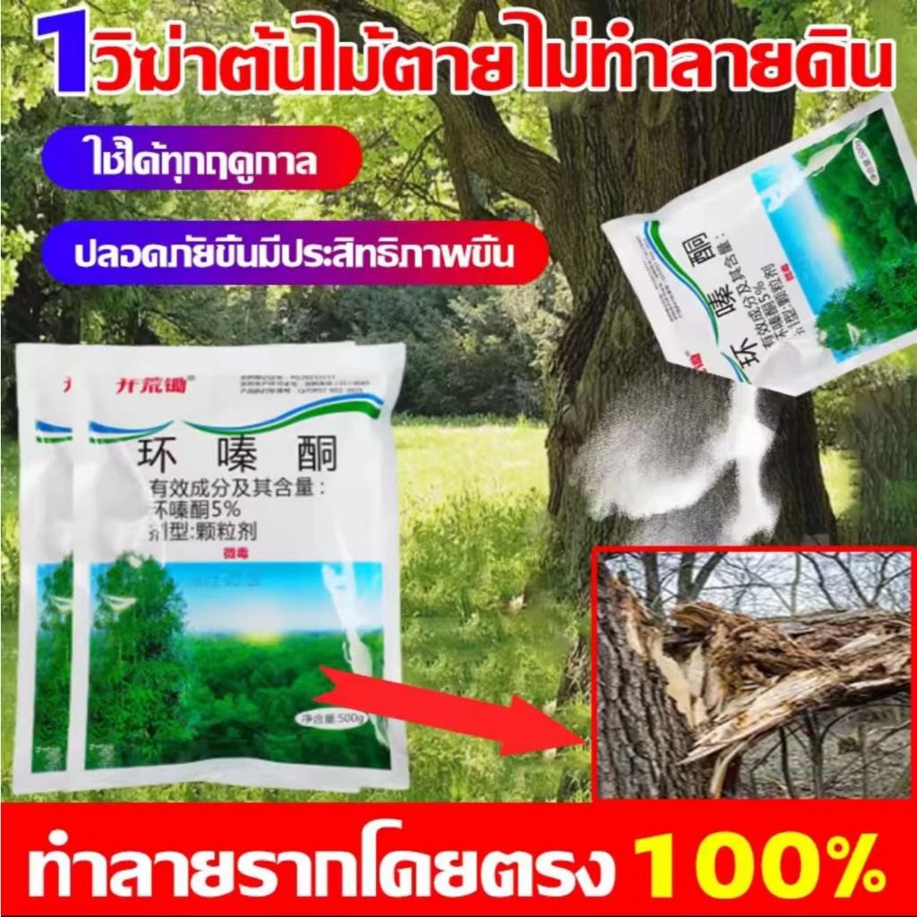 500g รากไม้เน่ายาฆ่าต้นไม้ใหญ สร้างมาเพื่อฤดูฝน ยาฆ่าตอต้นไม้ แค่โรยเพียงเล็กน้อย กำจัดวัชพืชเปิดที่รกราง