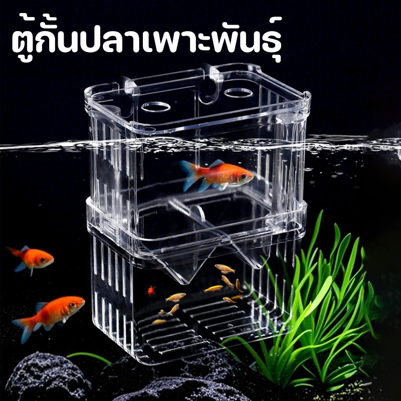 ตู้กั้นปลาเพาะพันธุ์ ตู้แยกปลาคลอดลูก 2 ขนาด แยกปลาป่วยได้ดี วัสดุใสทนทาน