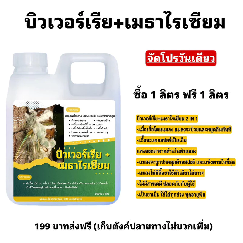 บิวเวอร์เรีย+เมธาไรเซียมGGM 1แถม1