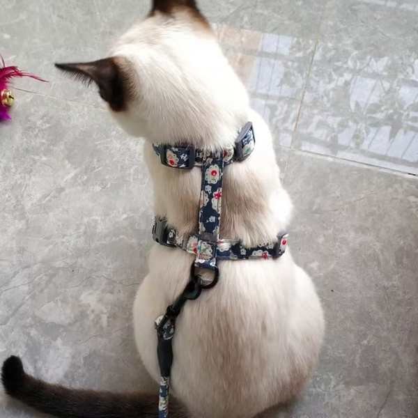 สายจูงแมว petkit สายจูงสัตว์เลี้ยง เกรดพรีเมี่ยม สายจูงแมว สายจูงแมวรัดอก สายจูงแมว แมวลากเชือกป้องกันการแตกหักฤดูร้อนแมวลื่นแมวเดินเชือกปรับแมวเชือกผูกแมวโซ่สัตว์เลี้ยงสุนัขออกนอกบ้าน