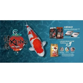 [4 Kg. / 5 Kg.] 🐟 อาหารปลา kenko สูตรบำรุงผิว 3 ส่วน (kenko skin care x 3)