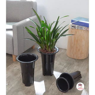 กระถางทรงสูง #LHP กระถางพลาสติก แคคตัส กระบองเพชร ไม้อวบน้ำ Cactus&Succulent