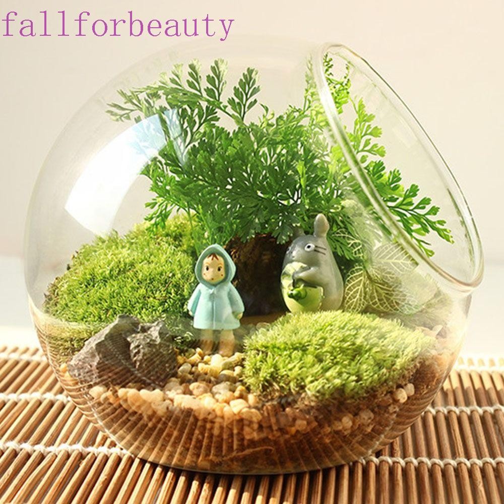 Fallforbeauty แจกันแก้ว Borosilicate แก้วแก้วใสแจกันบอล, กระถางดอกไม้เฉียง 8/10/12/16 ซม.โปร่งใส Succulents คอนเทนเนอร์พืชตกแต่งสํานักงาน
