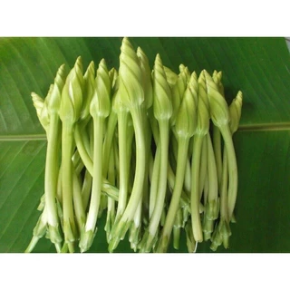 ดอกชมจันทร์ เมล็ดพันธุ์ 3-7 เมล็ด มีคู่มือปลูก