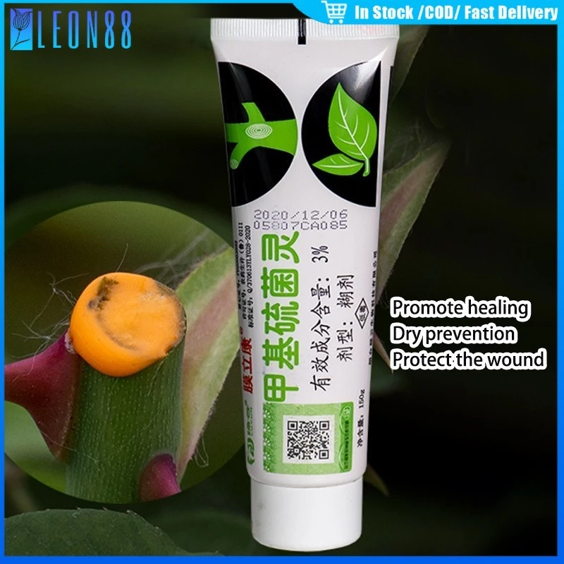 ของมาใหม่！ยาทาแผลต้นไม้ 150g ป้องกันเชื้อรา ยาต้นไม้ สำหรับไม้ด่าง บุษราคัม เสน่จันทร์ กระบองเพรช บอนไซ