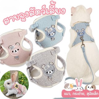 สายจูงรูปหมีน้อยสำหรับสัตว์เลี้ยง แมว กระต่าย หมา ใช้ได้