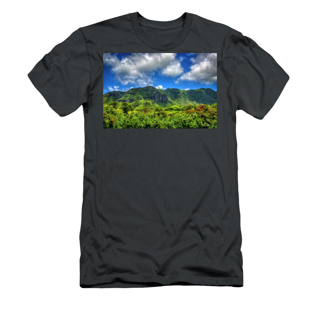 เสื้อยืด Vintage Kauai HI Cloudy Shade Castle Mountain Top Lihue Kauai Landscape Art T-Shirt แท้ Co