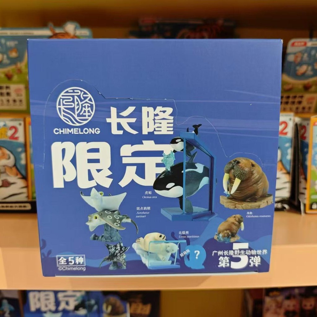 Zhuhai Changlong ของที่ระลึกสัตว์ Planet Mystery กล่อง Fifth Walrus Manatee Killer Whale รูปเครื่องป