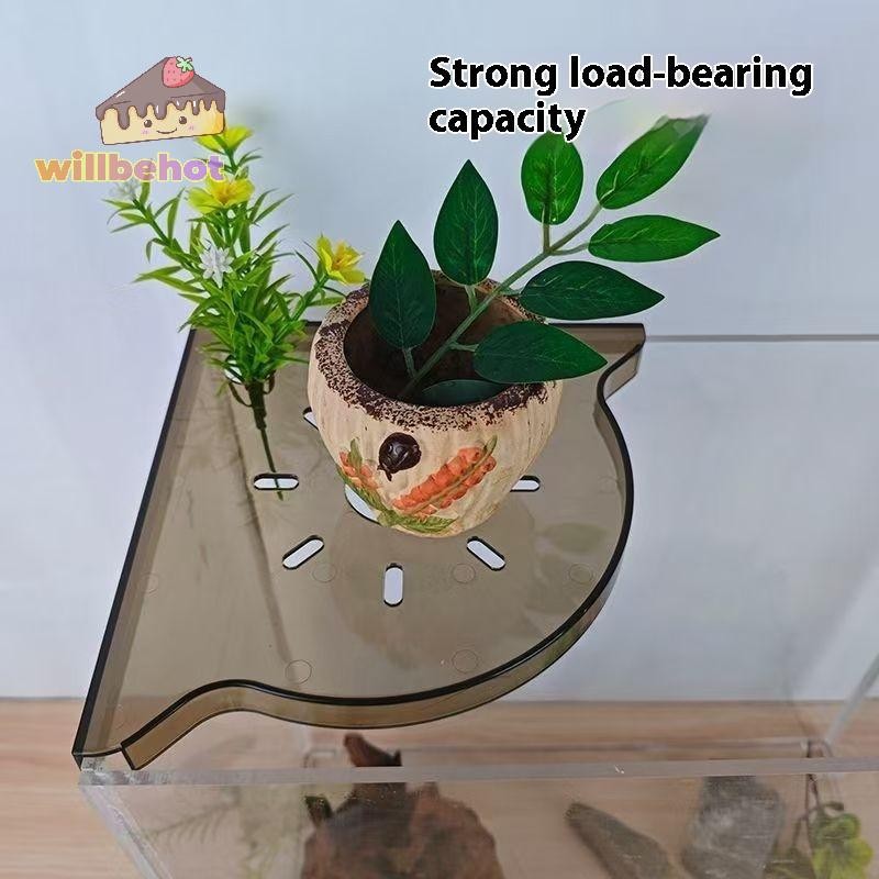 [Willbehot-t] Fish Tank Corner Storage Rack Punch-free Storage Rack Fish Tank Top Landscape Bracket Hydroponic Green Plant Tray [ใหม่] - รูปที่ 2