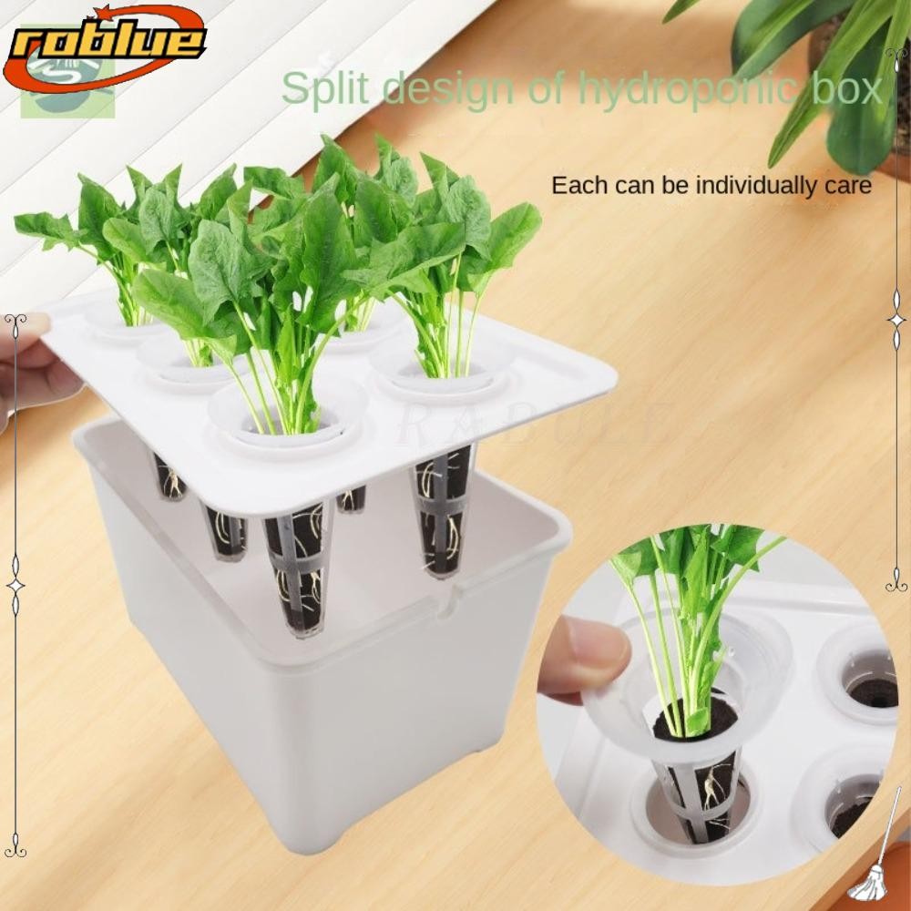 Roblue กระถางต้นไม้ไฮโดรโปนิกส์, กระถางดอกไม้ถังระเบียง, DIY Hydroponic Plant Growth ระบบไฮโดรโปนิกส์ อุปกรณ์การเพาะปลูกแบบไร้ดิน