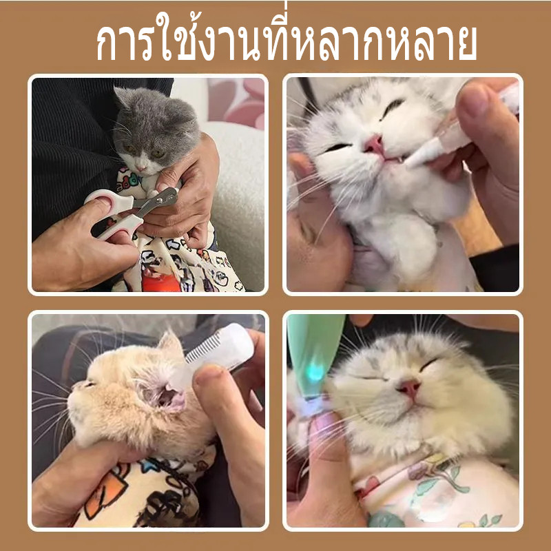 รูปภาพ 2
