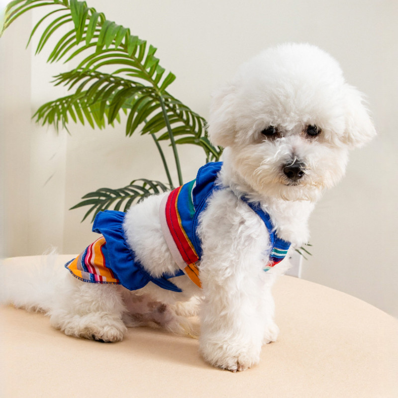 ชุดว่ายน้ำสุนัขรventiโลชดี ทะลุลมinaçãoดี | ผ้าแผงอ่อนนิ่ม | สำหรับทะเล & สวimming pool | XS-XL - รูปที่ 5