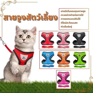 สายรัดตาข่ายไนลอนสะท้อนแสง – สายรัดหน้าอกและหลังระบายอากาศสําหรับสุนัขและแมว สบายทุกฤดูกาลพร้อมแหวนสายจูงโลหะทนทาน