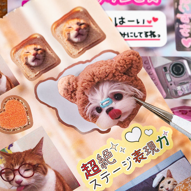 Thumbnail 8