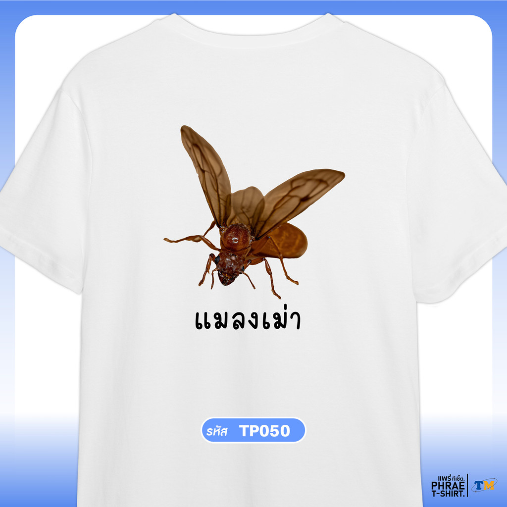 แพร่ทีเชิ้ต-TMshop196 | เสื้อยืด คอตตอน พิมพ์ลาย แมลงเม่า-TP050