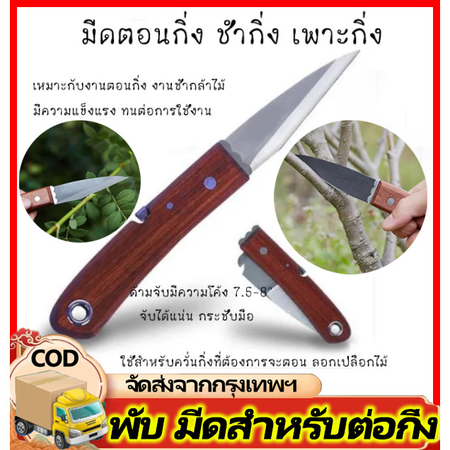 มีดตอนกิ่ง ติดตา ชำกิ่ง วัสดุทำจากใบมีดสแตนเลส ปลายแหลม คม มีดพับตอนกิ่ง แต่งกิ่ง ด้ามไม้แท้