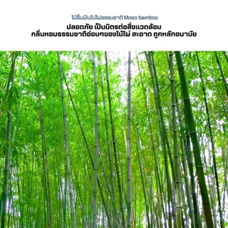 ไม้จิ้มฟันไม้ไผ่ธรรมชาติ(100ชิ้น)แบบปลายแหลมสองหัว พกพา ไม้จิ้มฟันในร้านอาหาร ครัวเรือน เครื่องครัว ชุดช้อนส้อม
