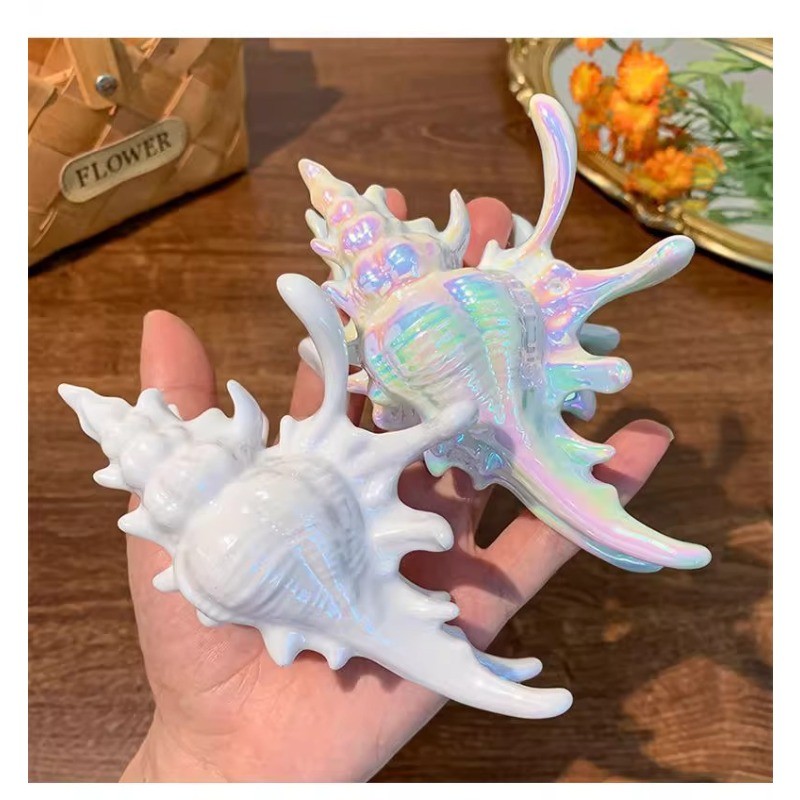 Venus of The Sea Conch Clip Hairpin คลิปเสียบผม ดีไซน์ฉลาม ของขวัญน่ารักสำหรับคนชอบท้องทะเล