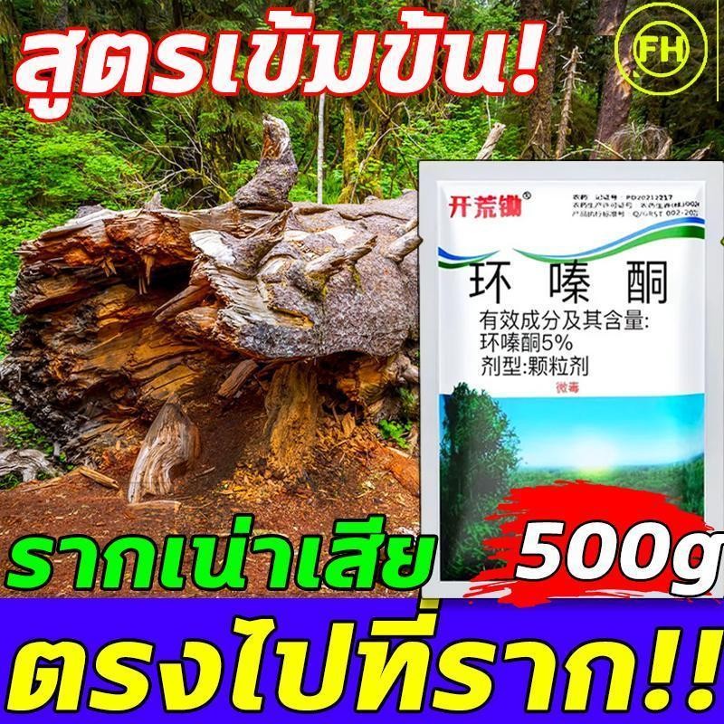 สารกำจัดกอไผ่ ผงกำจัดต้นไผ่ ยาฆ่าตอไม้ 500g สูตรเข้มข้น กำจัดวัชพืชรากเน่า ผลติดทนนาน ไม่เป็นอันตรายต่อดิน ยาฆ่าหญ้