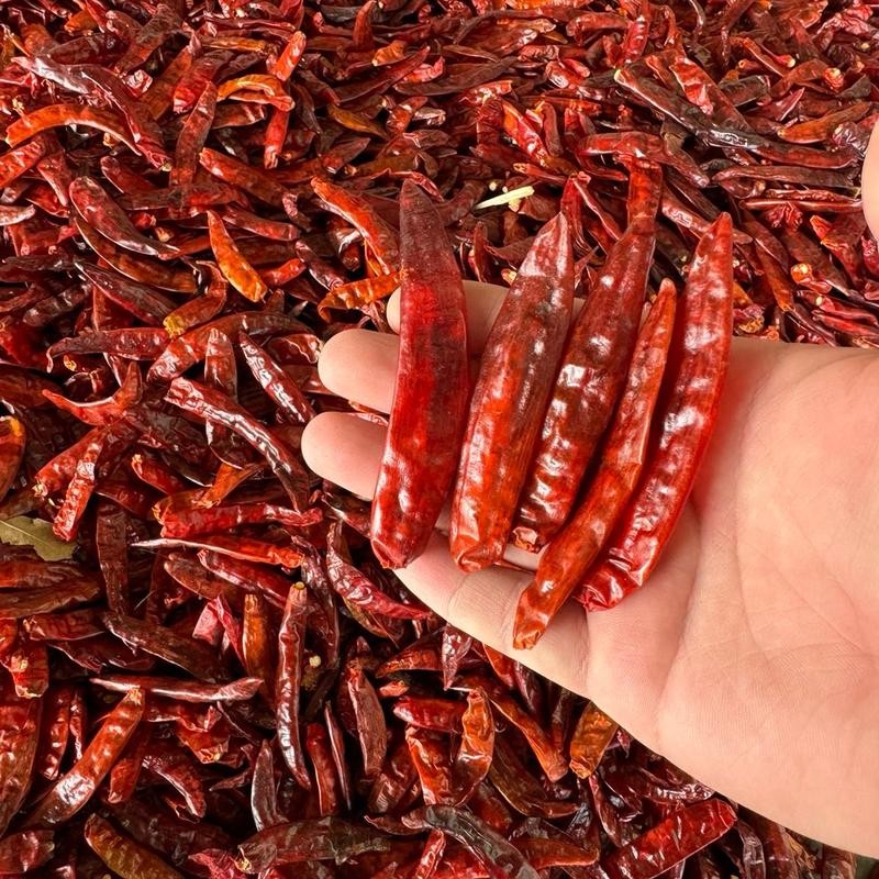 พริกแห้งแม่สาย(สนั่ม) เด็ดก้าน ขนาด 1กิโลกรัม เผ็ดกลาง+ หอม ใช้ทำพริกแกงสีสวย และอื่นๆ - รูปที่ 3