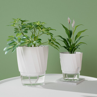 กระถางต้นไม้ ไฮโดรโปนิกส์ กระถาง แบบใส 2 ชั้น รดน้ําอัตโนมัต…