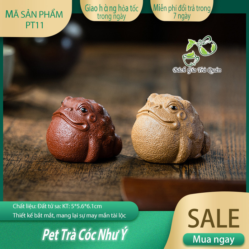 Pet Nhu Y Toad Tea - ขนาด: 5*5.6*6.1cm