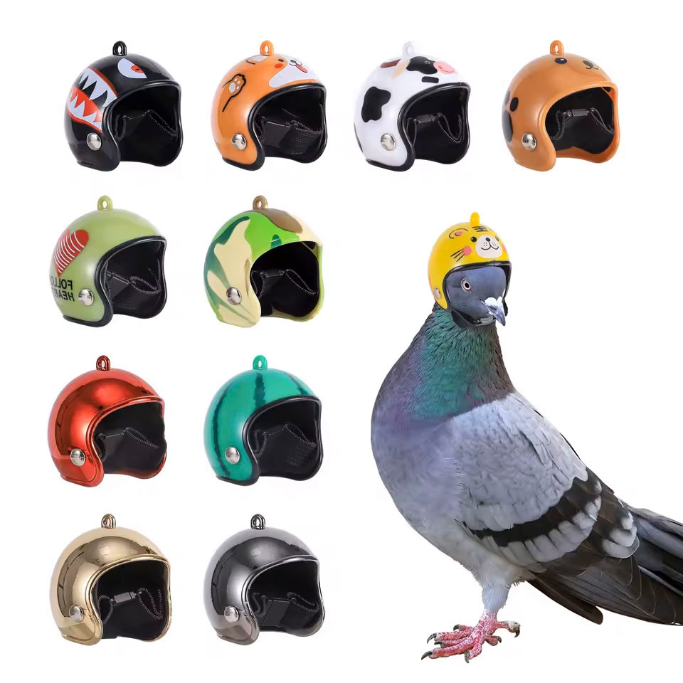 coralcoveshop หมวกกันน็อคนก ไก่ กันฝน ปรับได้ หมวกกันน็อค ปลอดภัย สะดวกสบาย เหมาะสําหรับขนนกแบบสุ่ม