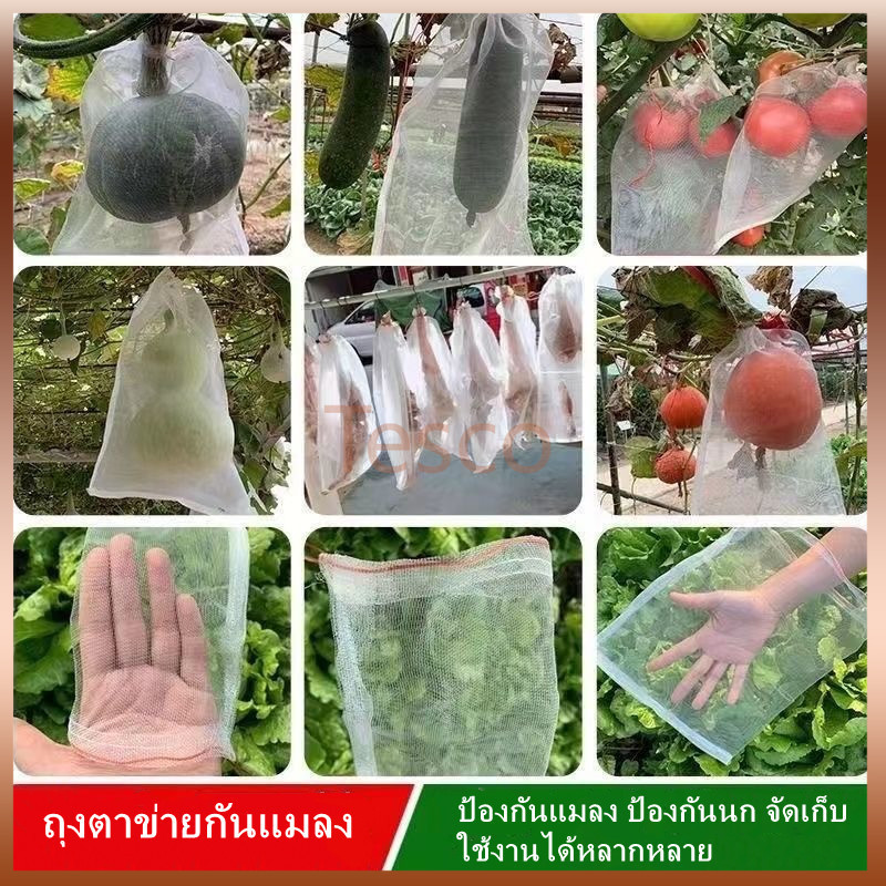 Tesco ถุงตาข่ายกันแมลงสำหรับต้นผลไม้/ถุงตาข่ายกันนก/ถุงใส่ผลไม้มะเขือเทศและพีช