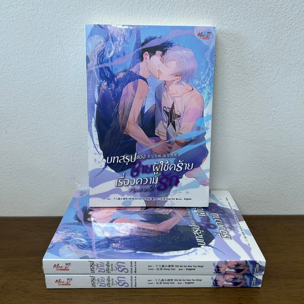 [YAOI] บทสรุปของชายผู้โชคร้ายเรื่องความรัก … Shi Ba Sui Xiao Tou Ming (มือหนึ่งขีดสัน) นิยายวาย มีดี Meedee